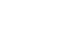 Logo-wings